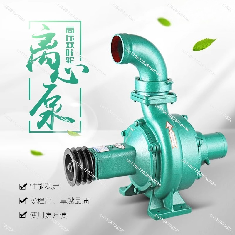 Высокое давление, высокая голо – обзор и цена Diesel Water Pump